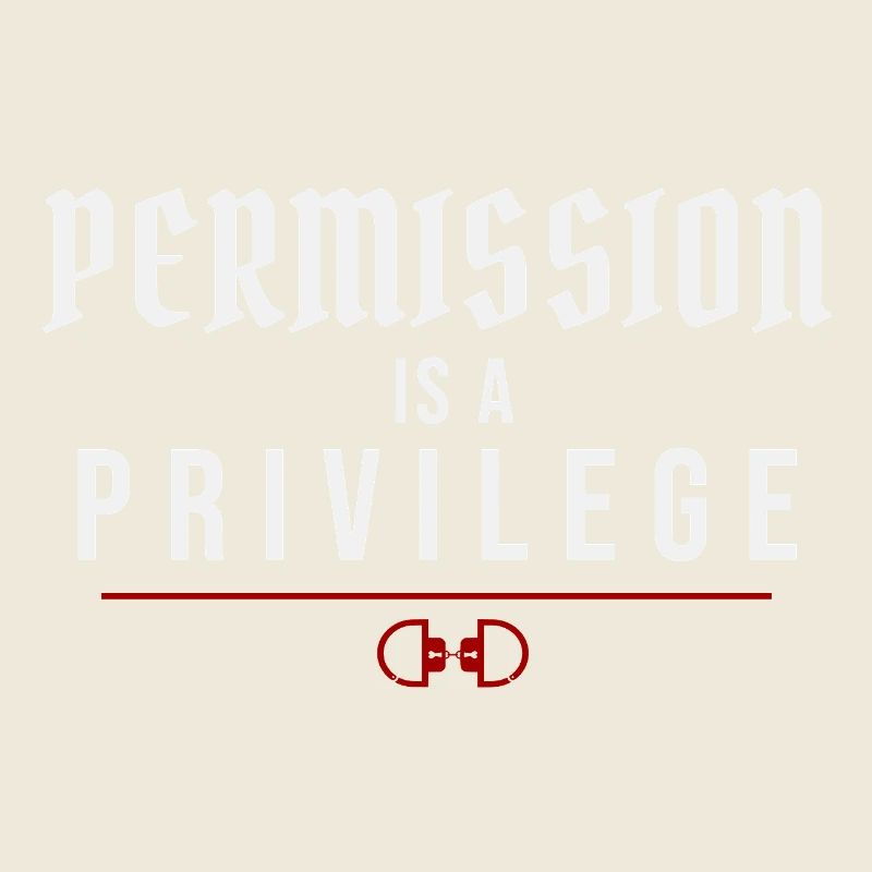 Permission Is A Privilege – Authority Dynamics