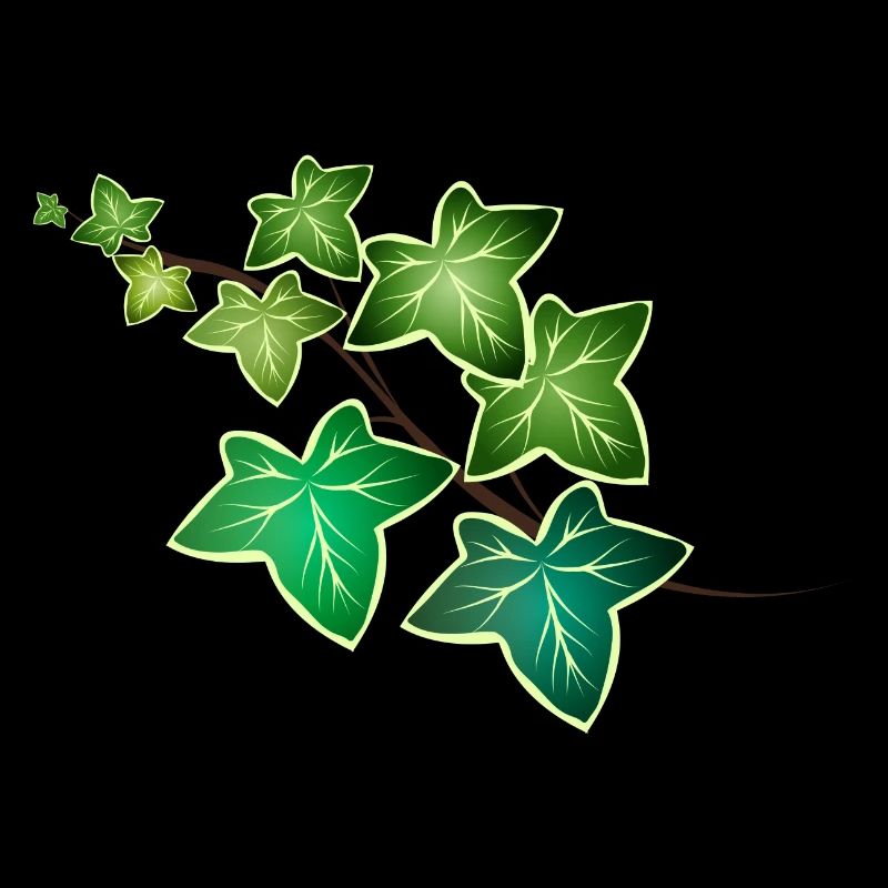 Ivy tendril with white border - White green ivy