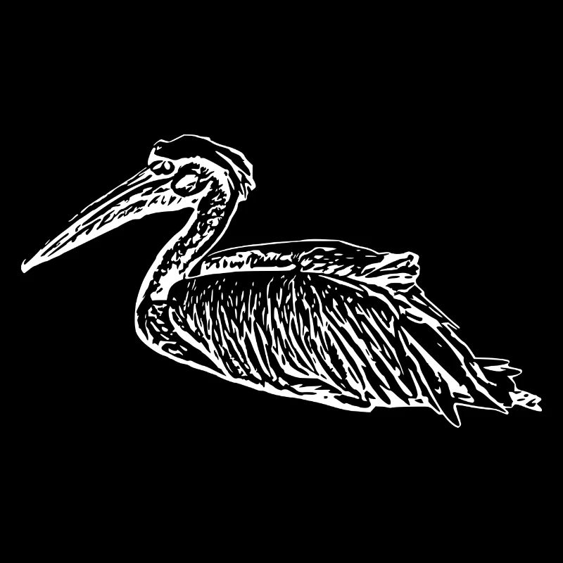 Pelicans Bird Birds Pelecanus