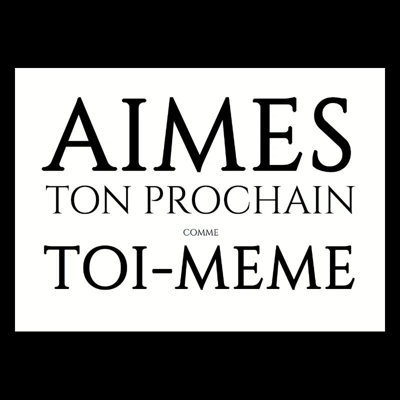 aimes 300