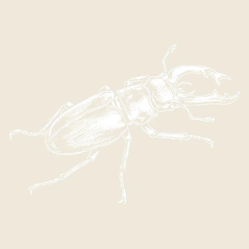 Big Insect Drawing-Design