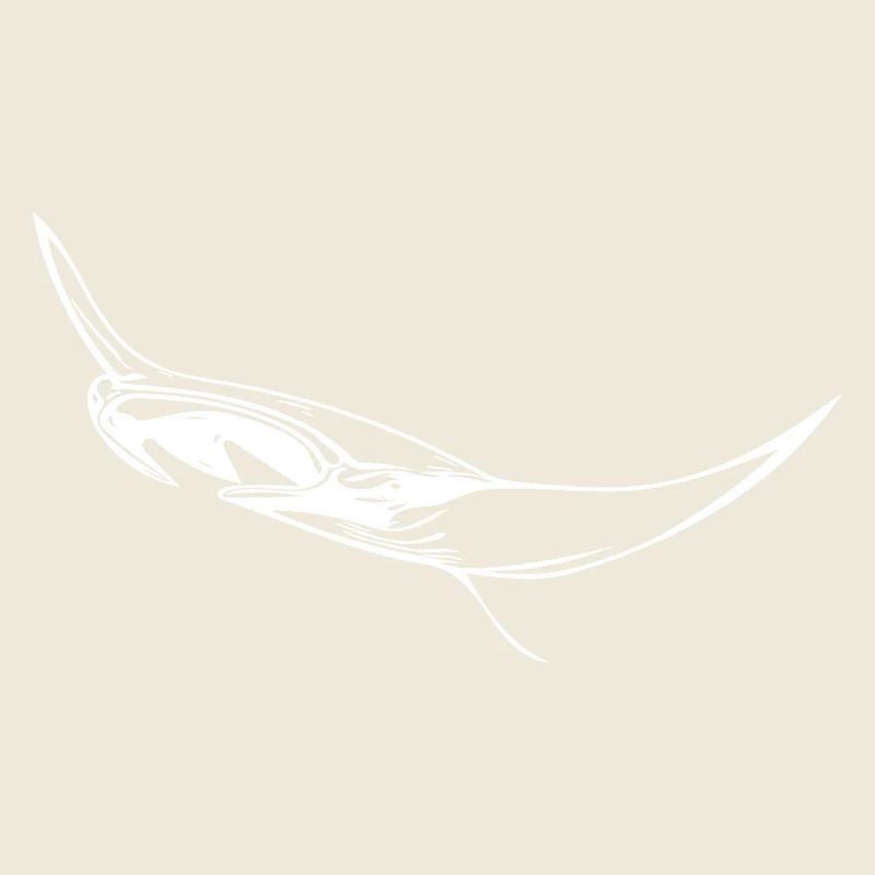 Elegant floating manta rays