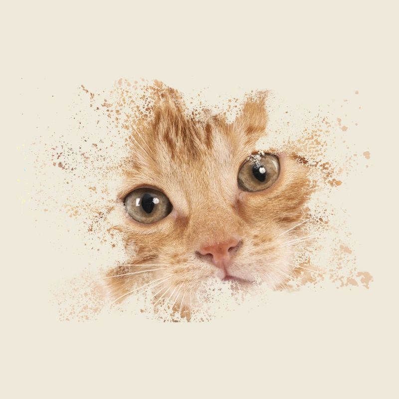 Chat orange avec éclaboussure d’aquarelle
