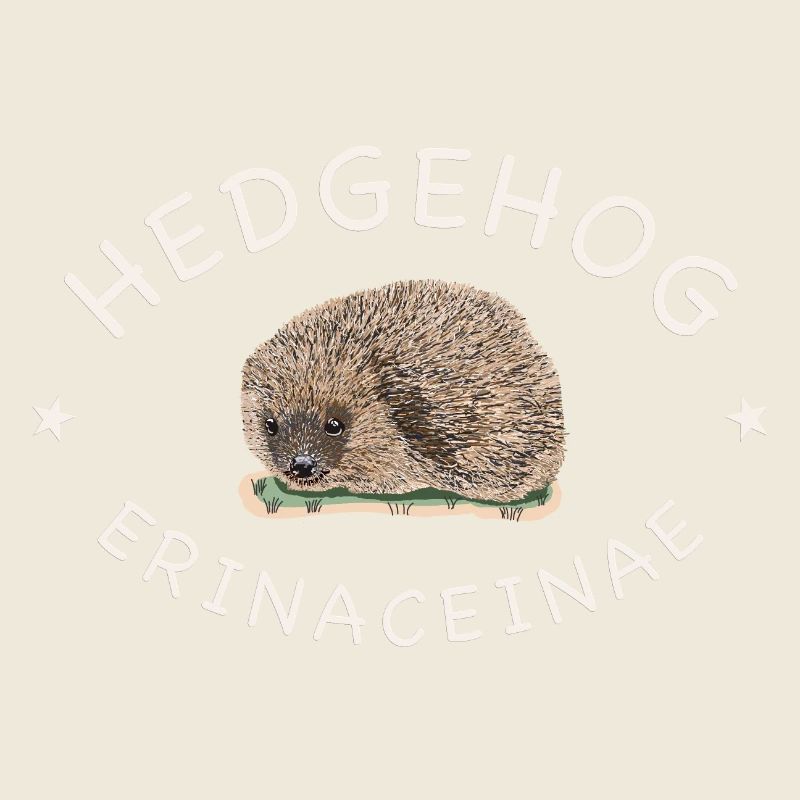 Echter Igel, wissenschaftlicher Name, Englisch