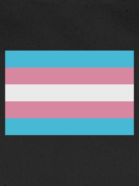 Trans-Flagge