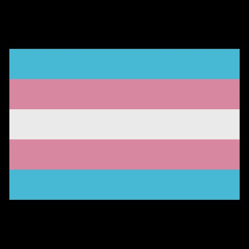 Trans-Flagge