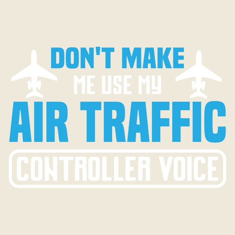 Humorous aircraft design for flight enthusiasts