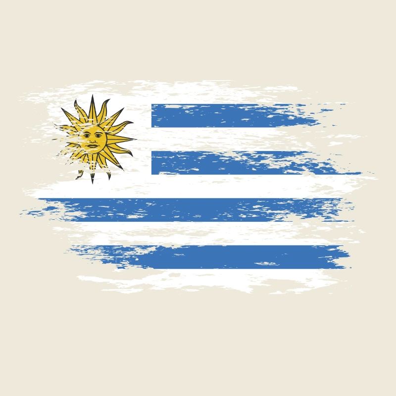 Uruguay Flagge used