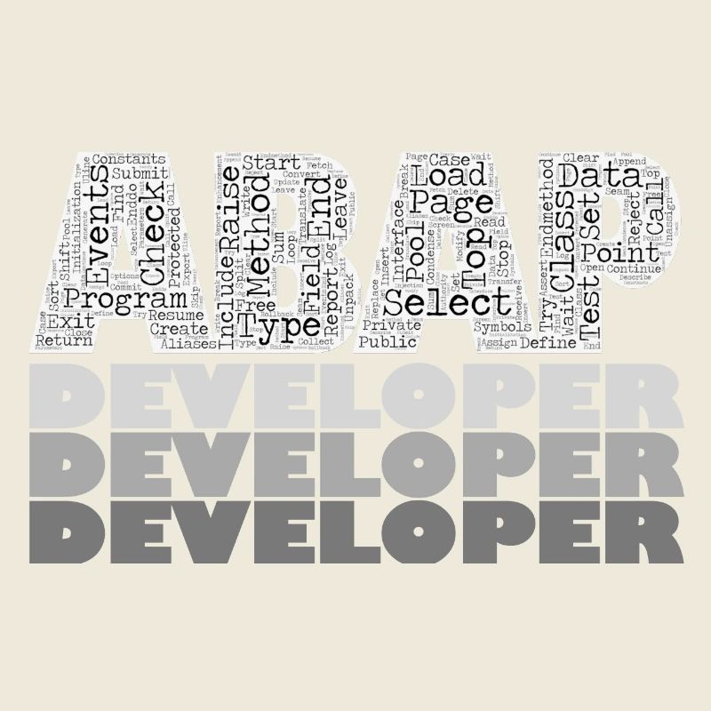 ABAP Developer