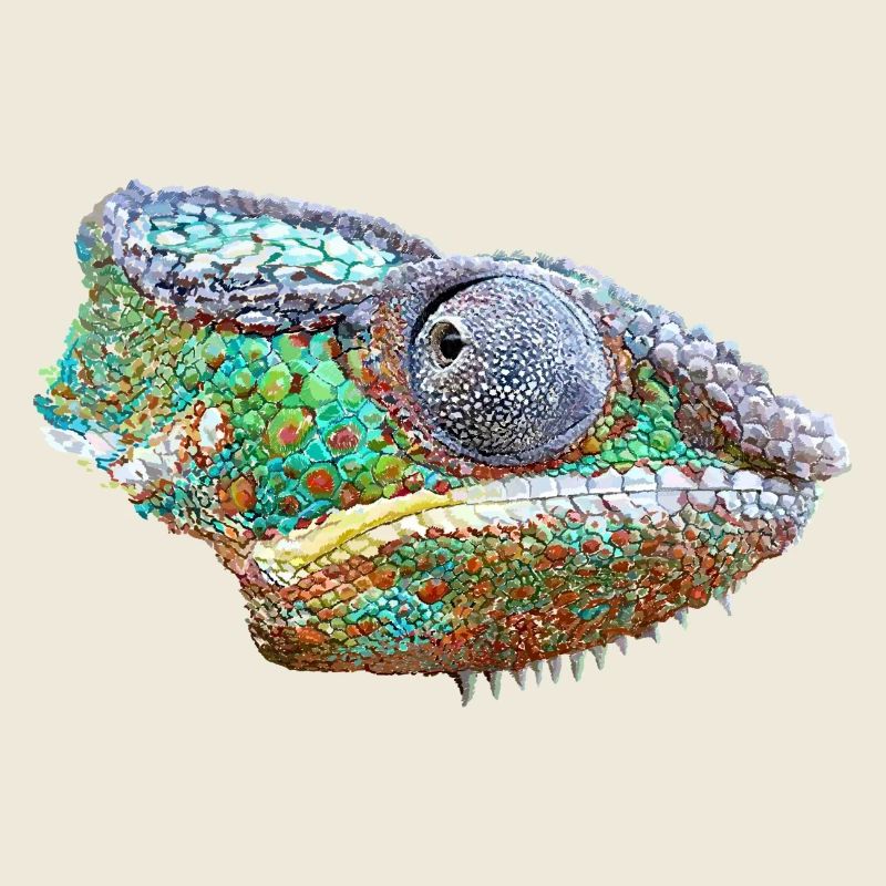 Bunte Chamäleon Illustration