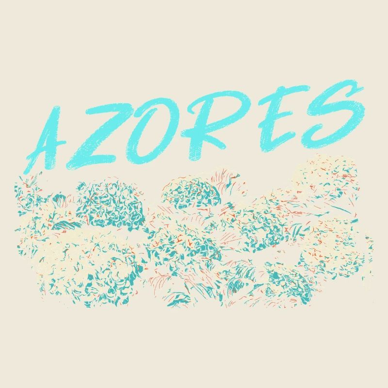 Açores Hydrangea, hortensias Bleues