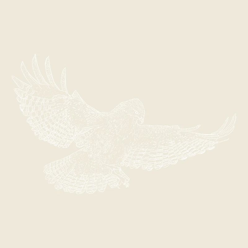 Common buzzard, bird of prey drawn (stylized)