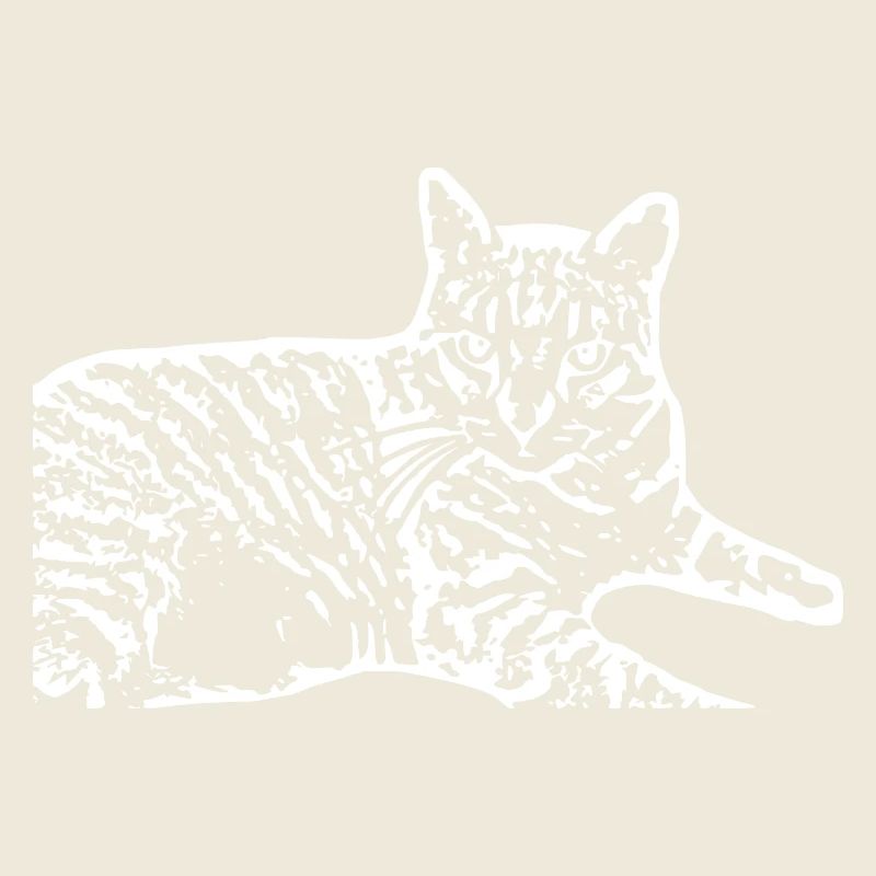 weiße Katze Katze weiß Katzen Geschenk