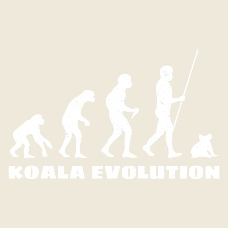 Évolution du koala