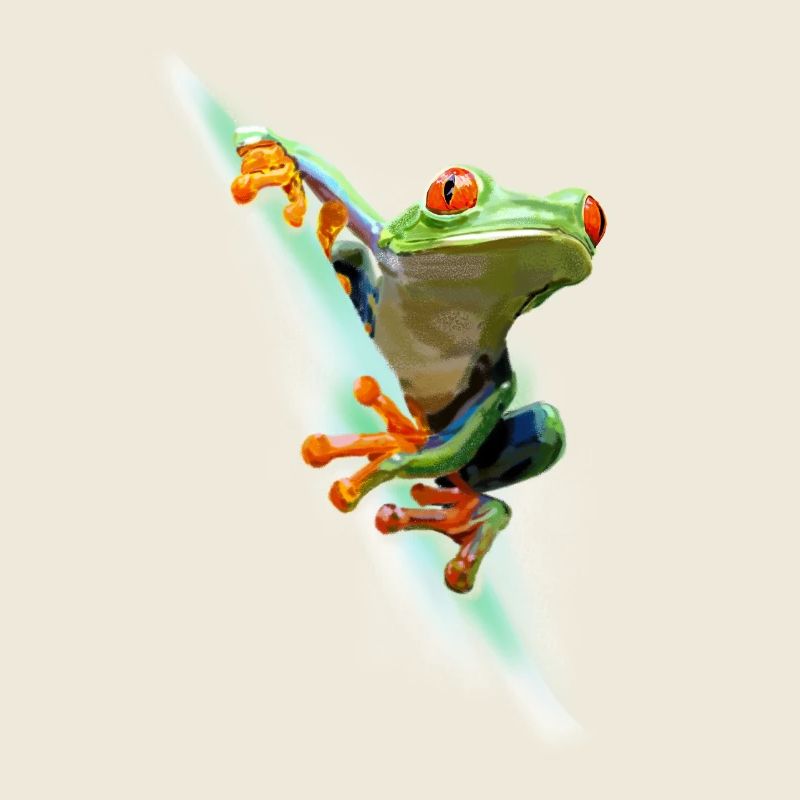 Frog