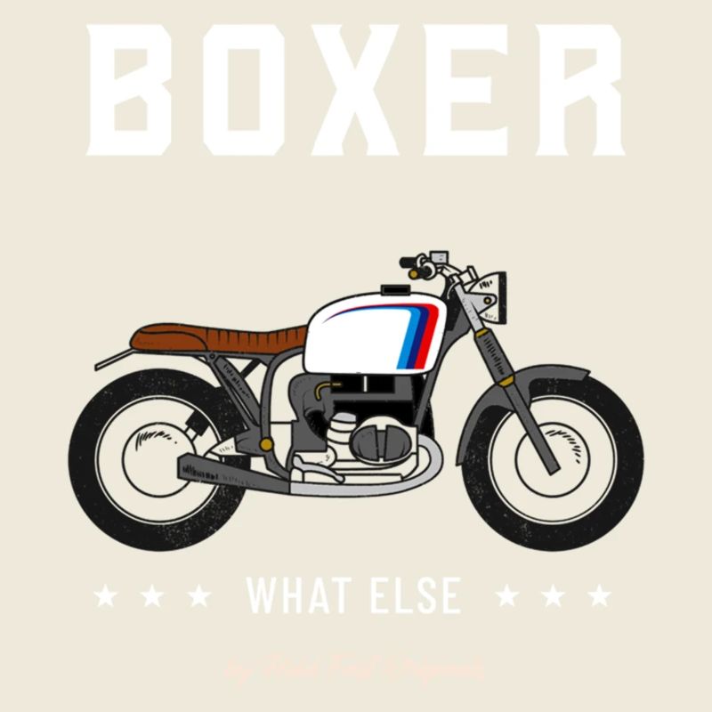 Boxer what else