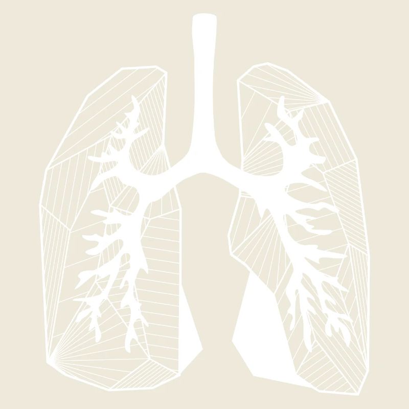 Lungs
