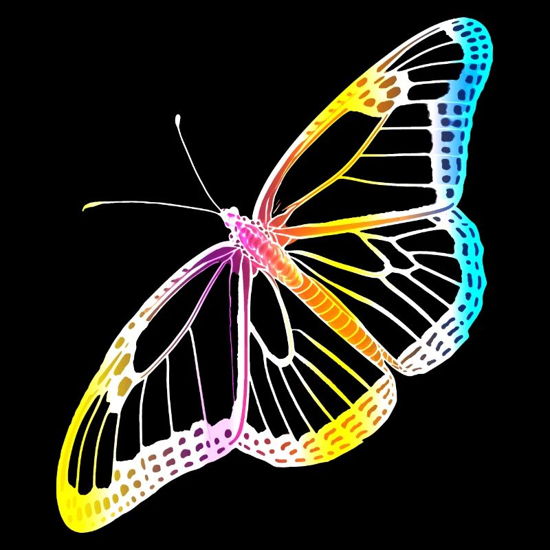 Schmetterling Schmetterling Monarch Frühling Buntes Geschenk