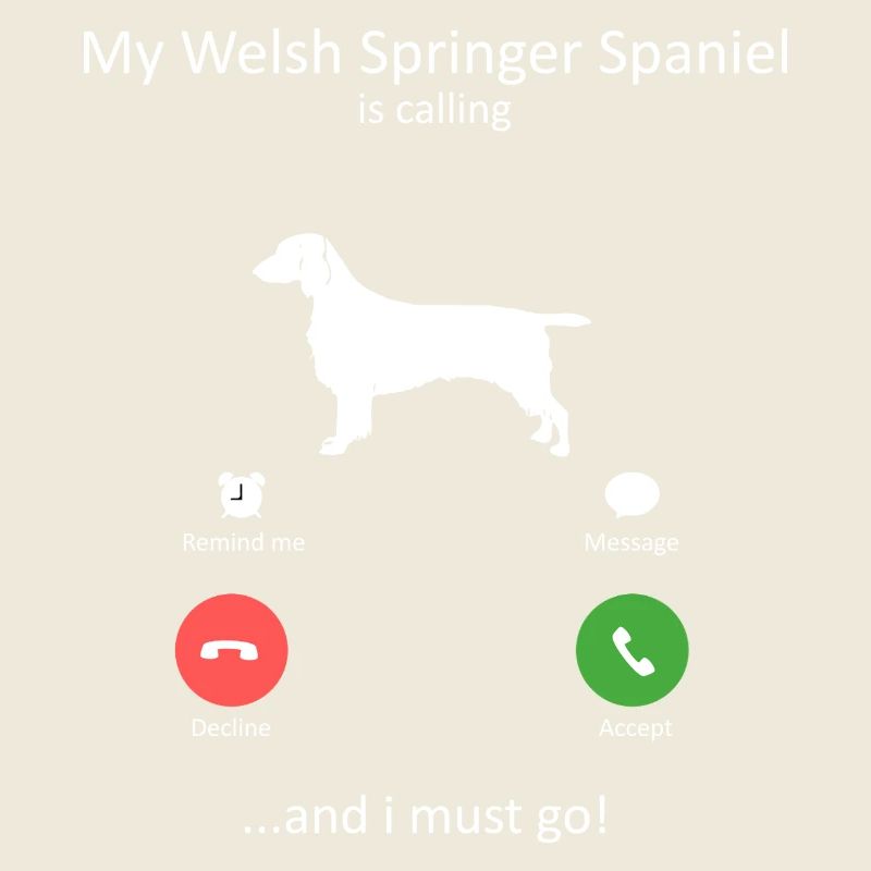 Welsh Springer Spaniel Is Calling Funny Dog