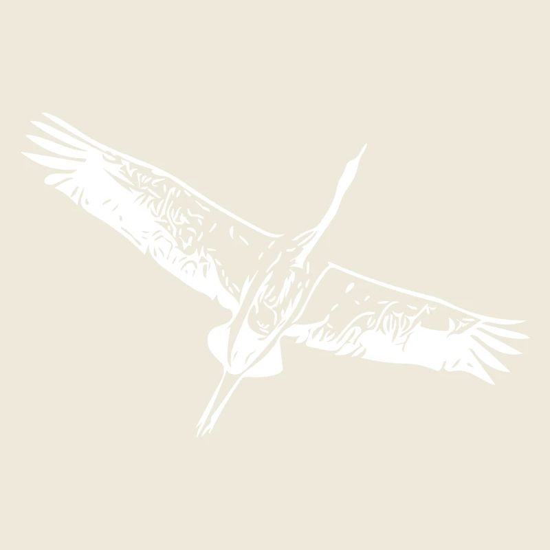 Heron bird in flight