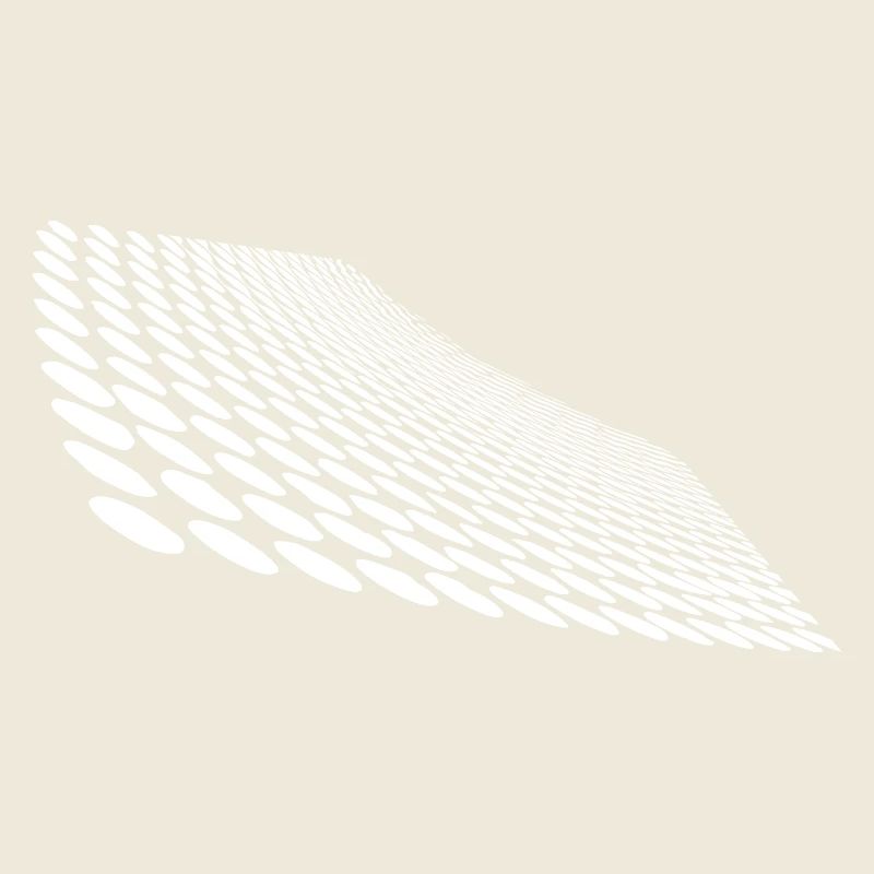 Geometric points on curved horizon surface