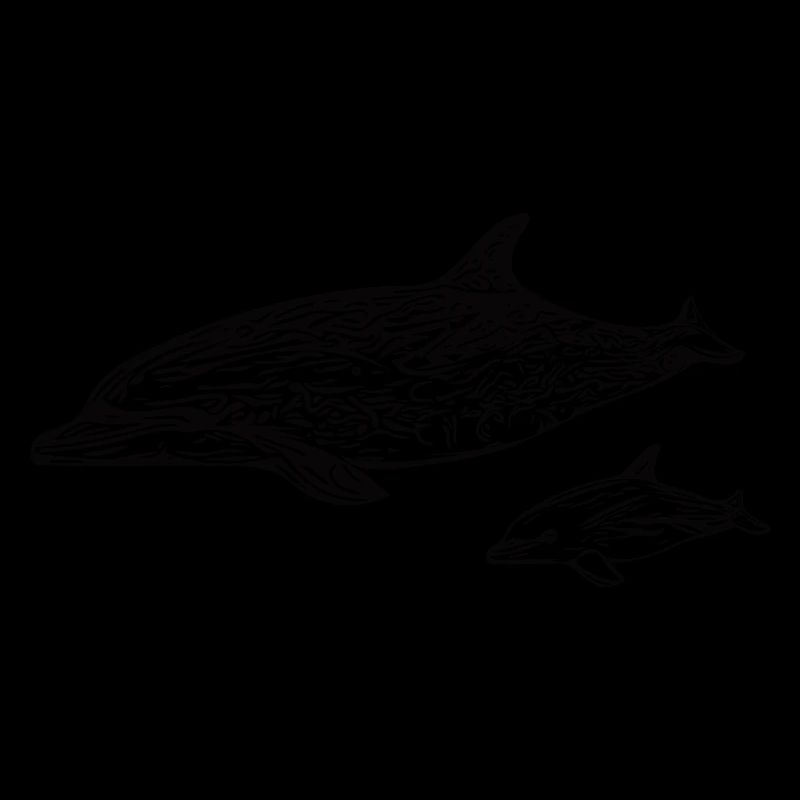 Dolphins Swimming - Conception de bébé dauphin