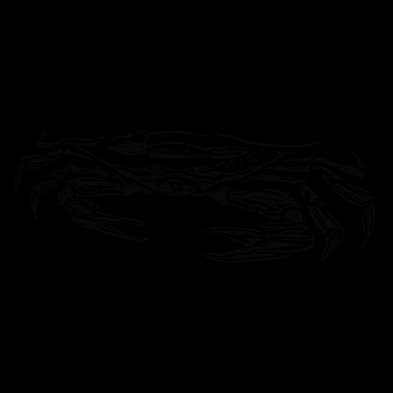 Petit crabe vorace crabe de plage avec ciseaux