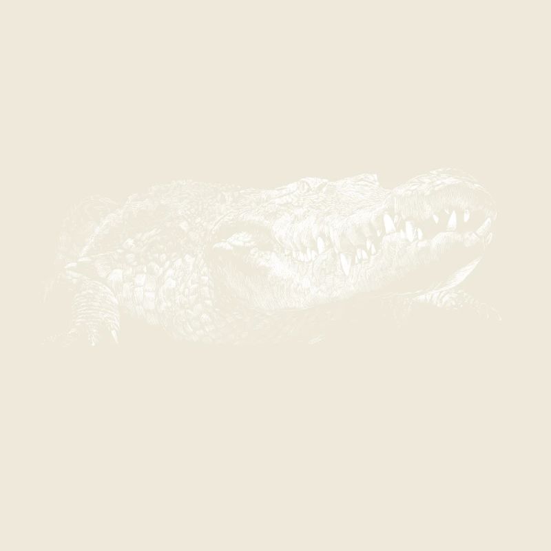 Crocodile
