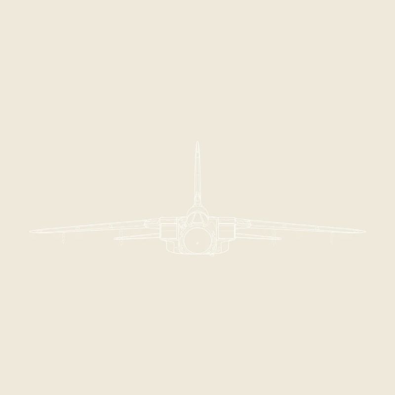 tornado jet fighter white front