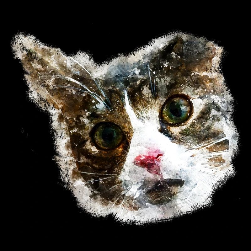 gxp katze for real wasserfarbe mix