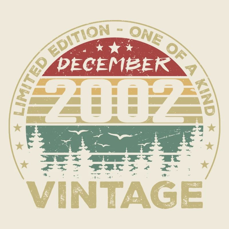 Retro Vintage December 2002 Birthday Gift