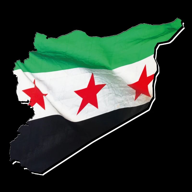 Syria Flag in Syria Map 2