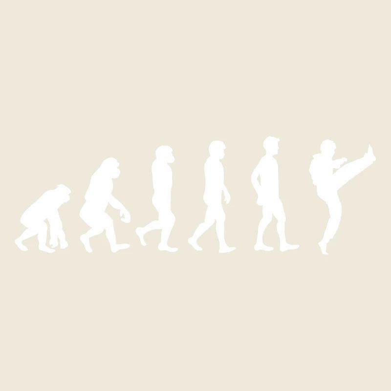 Evolution Karate