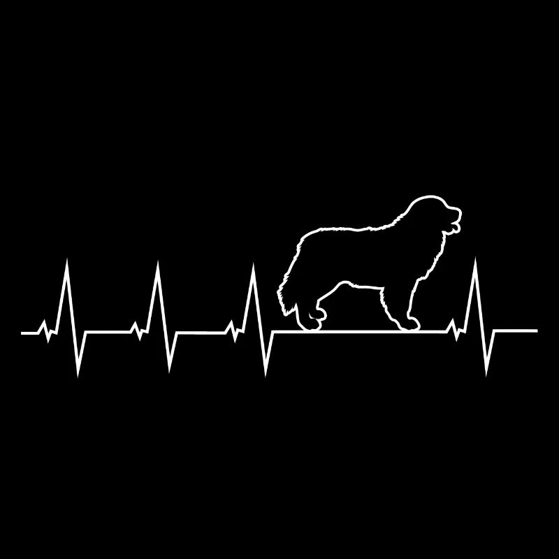 Berner Sennenhund - Herzschlag