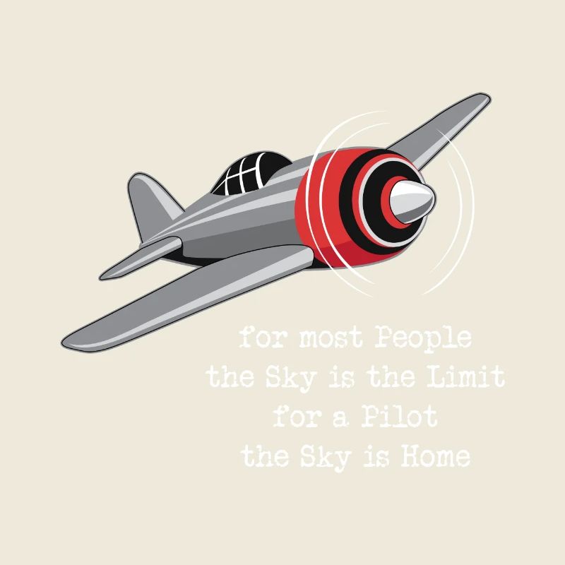 Pilot aviation plane flying gift