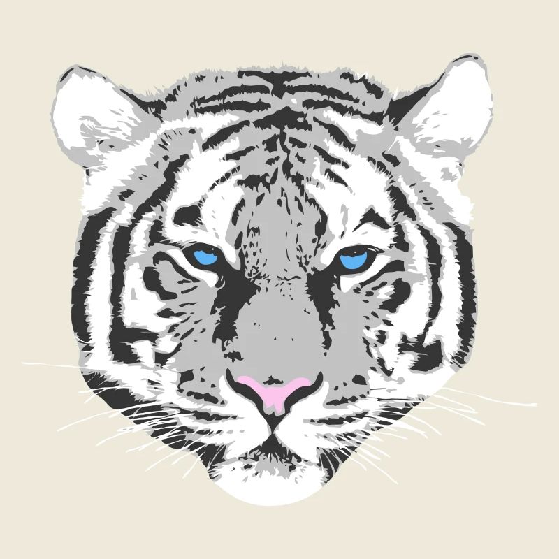 weißer Tiger