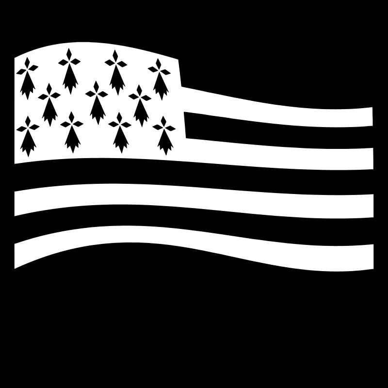 Drapeau Breizh Power