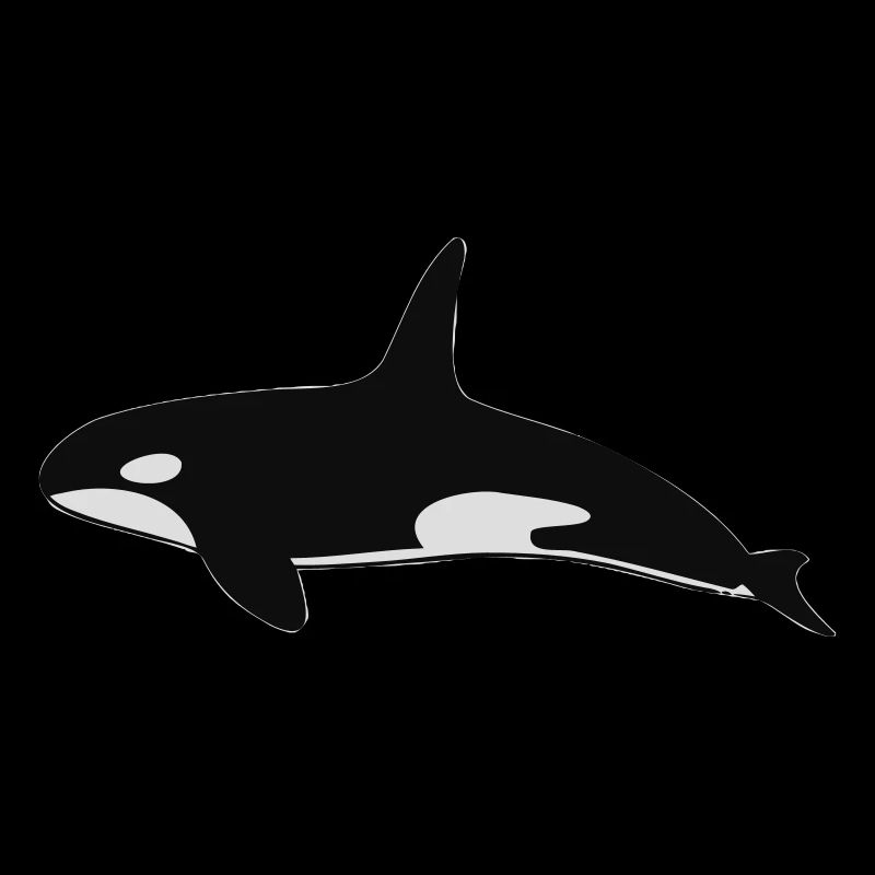 Orca