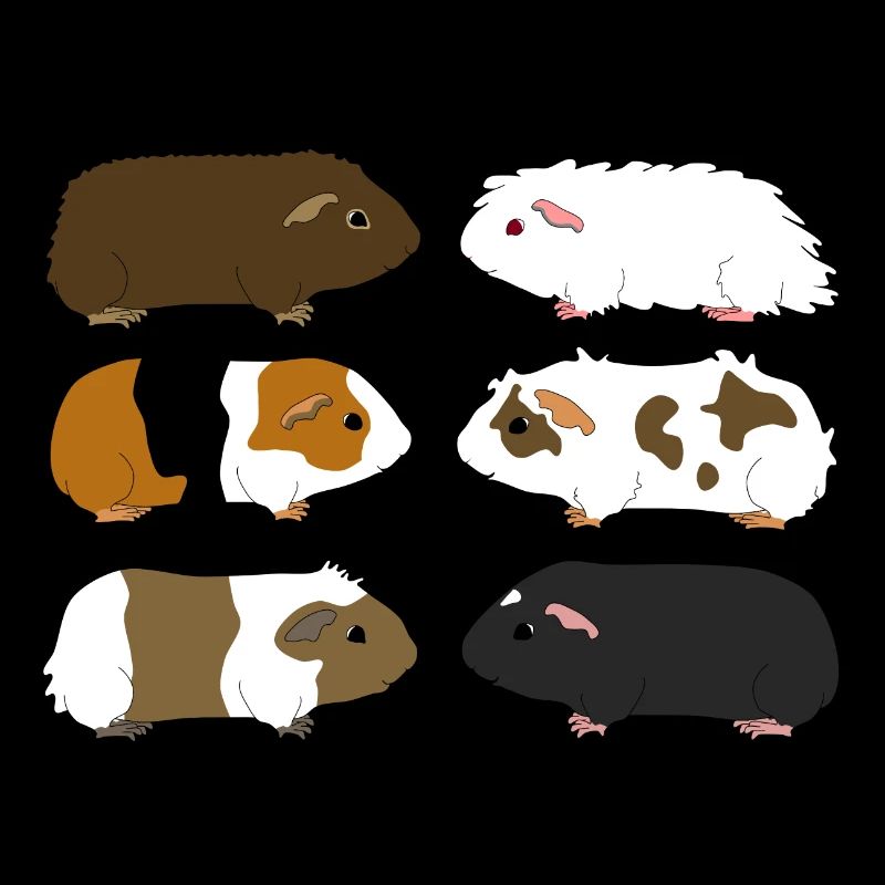 six guinea pigs 1