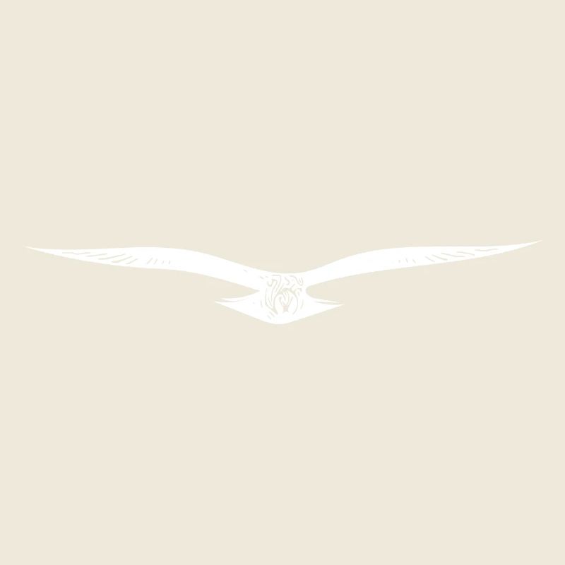 Elegant flying eagle