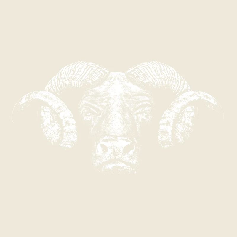 Minotaur / Head
