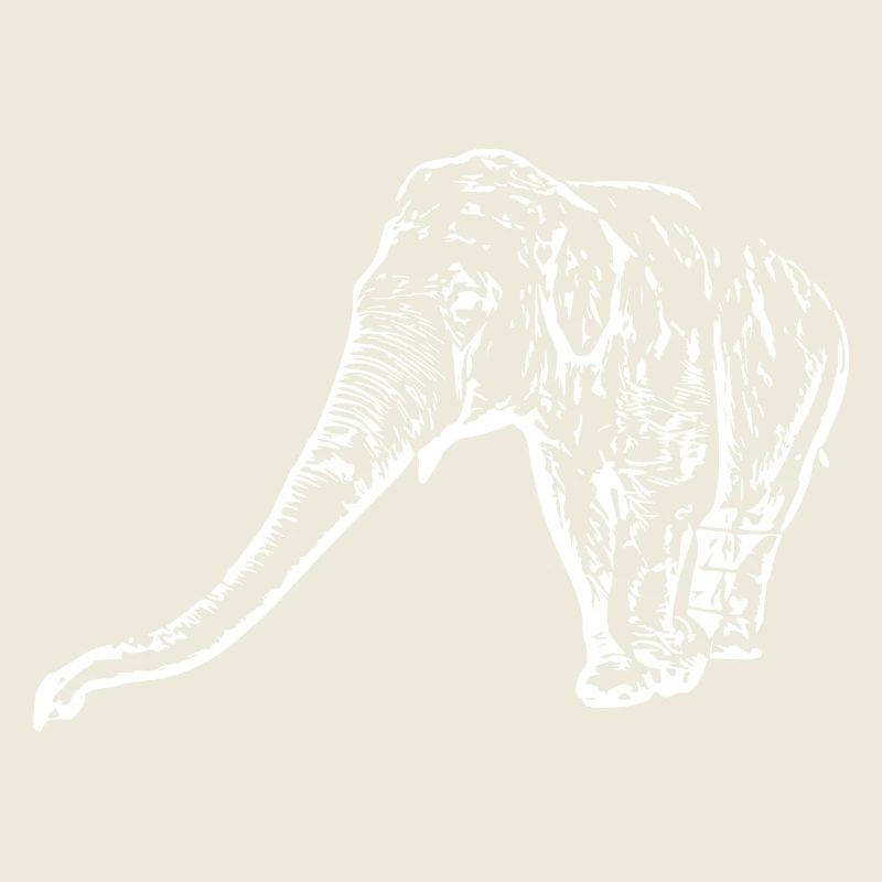 Blanc éléphant