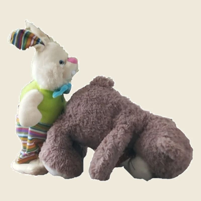 Teddy Bear Bunny