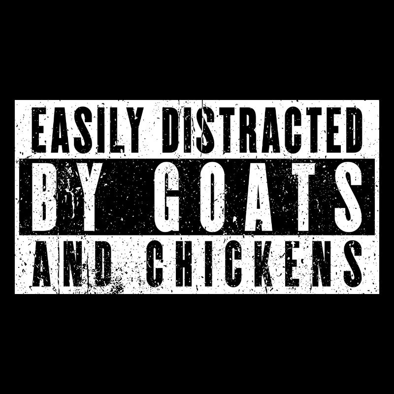 Facilement distrait par les chèvres et les poulets