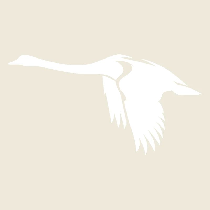 Elegant flying swan on large wings