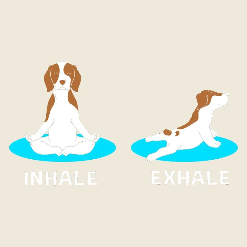 Brittany Dog Brittany Dog