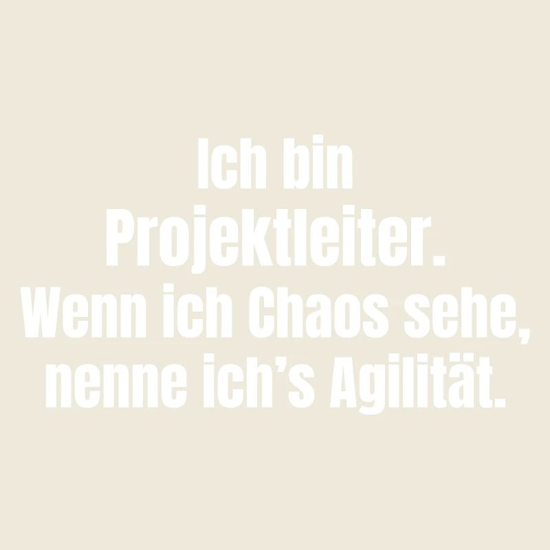 Chaos is agility: Project manager