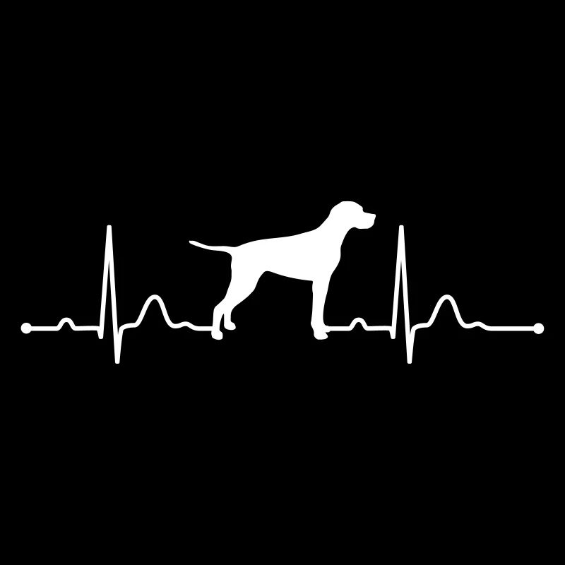 ENGLISH POINTER heartbeat Herzschlag