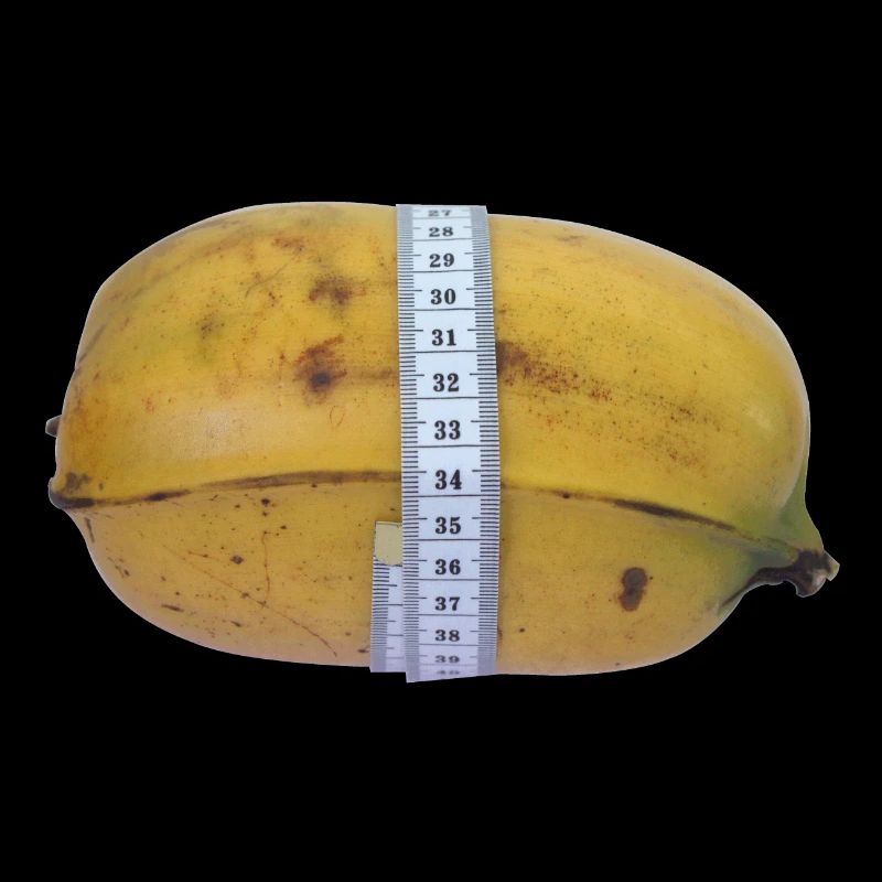 Banane - La plus grosse banane...