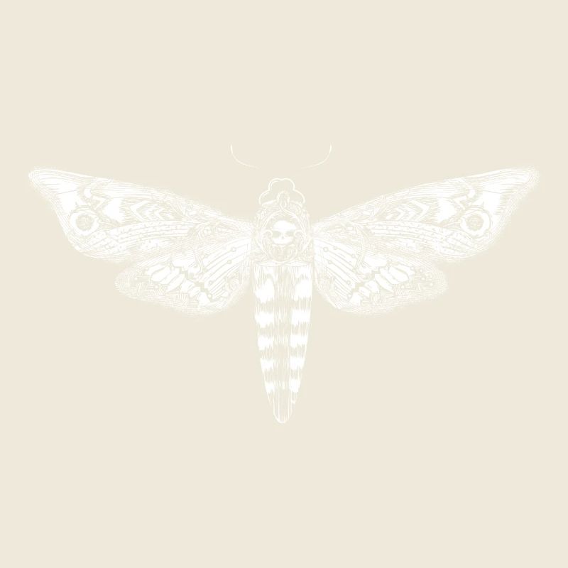 Dessin d'un essaim de crâne blanc